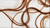 Encapsulated Salicylic Acid for Color-Treated Hair: A Game-Changer for Scalp Health (Keith Shore)