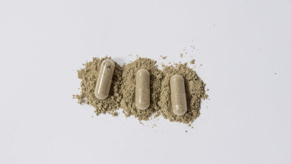 Real Story Highlight - Jessa Lynn